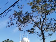 -后海村