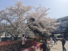 -上海南浦大桥长途旅游客运站