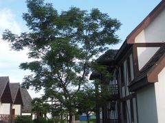 -太阳岛度假酒店