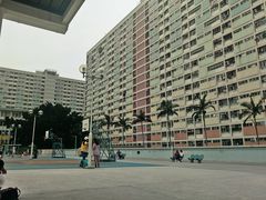-彩虹村