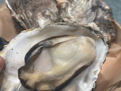 -蚝得喜海鲜(东城店)