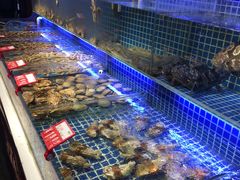 水产区-必点海鲜·鲅鱼水饺(鞍山西道店)