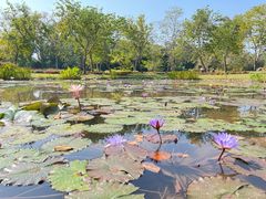-中国科学院西双版纳热带植物园