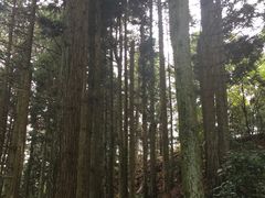 -井冈山风景名胜区-黄洋界