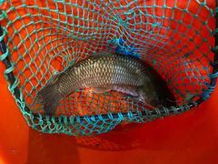 -渝乡人家(和平里店)