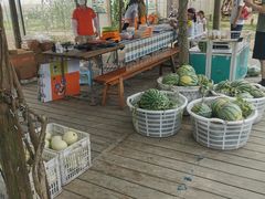 -前小桔亲子创意农场·草莓采摘·露营烧烤