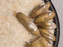 -龙宴海鲜城(经中路店)