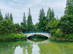 -东平国家森林公园