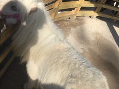 -昆明动物园