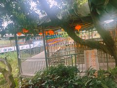 -好旺来农庄(凤岗店)