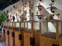 -MUSEO COFFEE咖啡博物馆