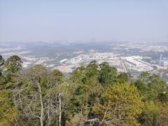 -水濂山森林公园