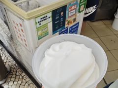 -洪馨椰子