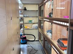 -钦宠·猫咪售卖·洗护·寄养(东圃旗舰店)