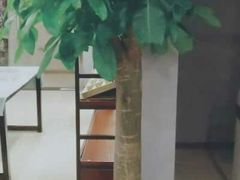 -肆兮眼镜·蔡司·徕卡战略合作店(大坪店)