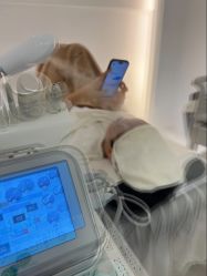 -哈尔滨瑞丽医疗美容医院