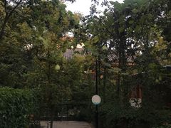-山大王菌莊