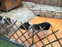 -HERRE·FARM 赫尔露营农场·团建聚会包场