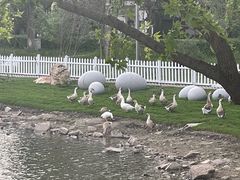 -长春市南湖公园