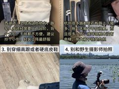 -西湖文化广场