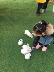 -萌宠亲子动物乐园(槐房万达店)