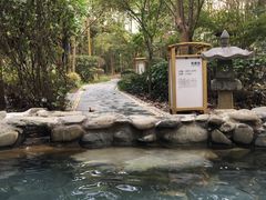 -洪湖悦兮半岛国际温泉度假村