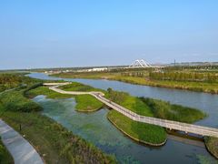 -春花秋色城市公园