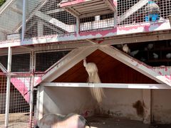 -金庭庄园酒店-停车场