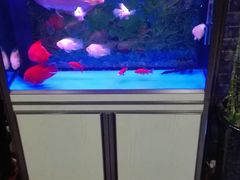 -双合福火锅(河北路店)