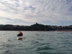 -青岛第一海水浴场