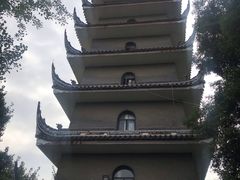 -生宇山珍野生菌汤锅•始于1999(双流古塔店)