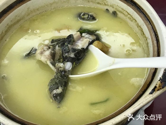 昂刺魚豆腐湯