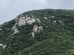 -杨梅坑
