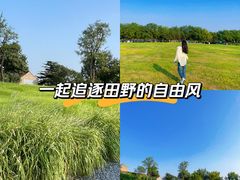 -汉长安城未央宫国家考古遗址公园