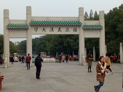 -武汉大学-樱园