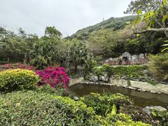 -小南山公园
