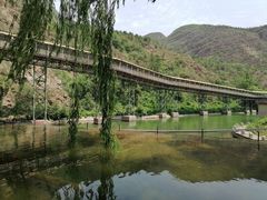 -北京龙庆四季香农家饭庄·灶台鱼·碳烤虹鳟鱼(龙庆峡店)