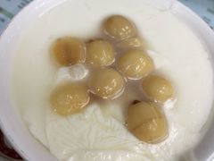 莲子双皮奶-义顺牛奶公司