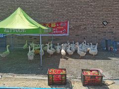 -鸡鸣驿古城