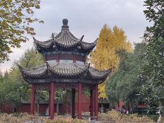 -洛阳白马寺