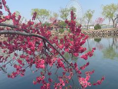 -无锡蠡湖国家湿地公园-蠡园