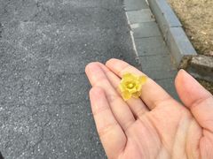 -浙江大学(玉泉校区)