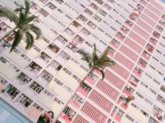 -彩虹村