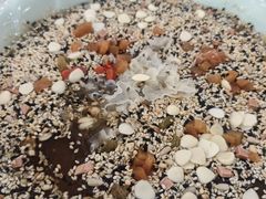 -邢家锅贴老店·非遗·开封菜(金明广场店)