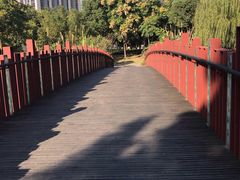 -南翔镇银翔湖公园