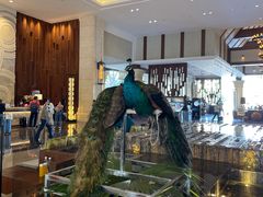 -西双版纳融创皇冠假日度假酒店