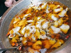 -雲蜀龙阁·金牌水煮鱼(方庄店)