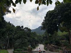 -深圳市中科院仙湖植物园