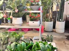 -双季花艺园艺市场(浦东店)