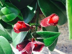 -三旗百汇商品城